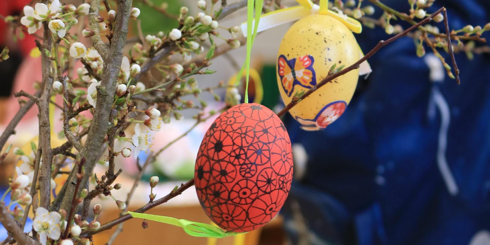 Jarní den na Sedmikrásce