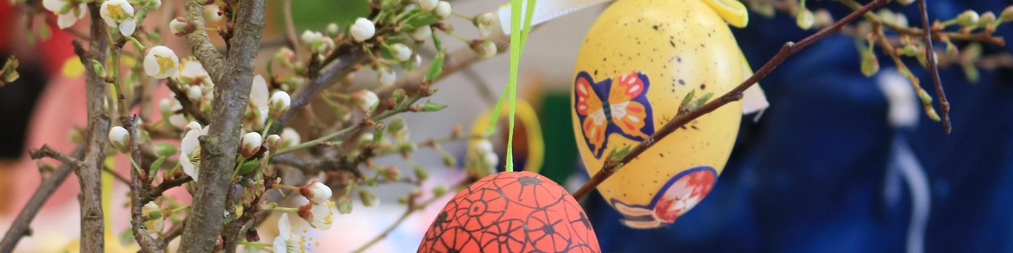 Jarní den na Sedmikrásce