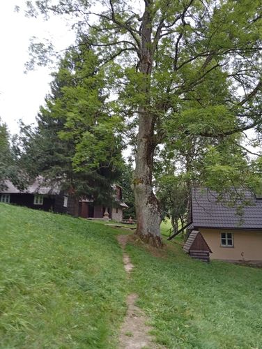 08.jpg