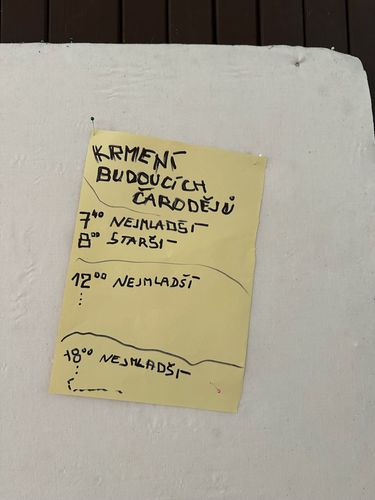 15.JPG