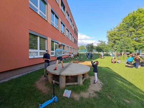 20250611_180815.jpg