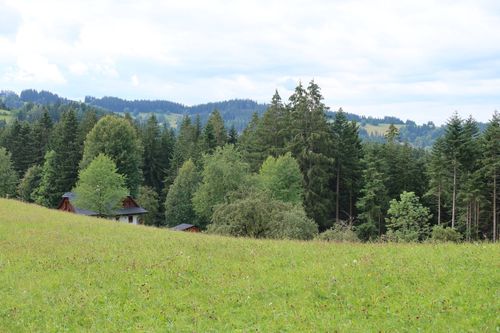 IMG_6231.JPG