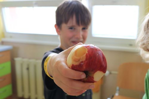 IMG_9597.JPG